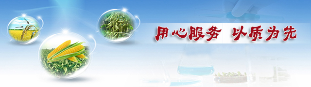 合欢视频软件安装污下载合欢视频色板用心服务以质为先